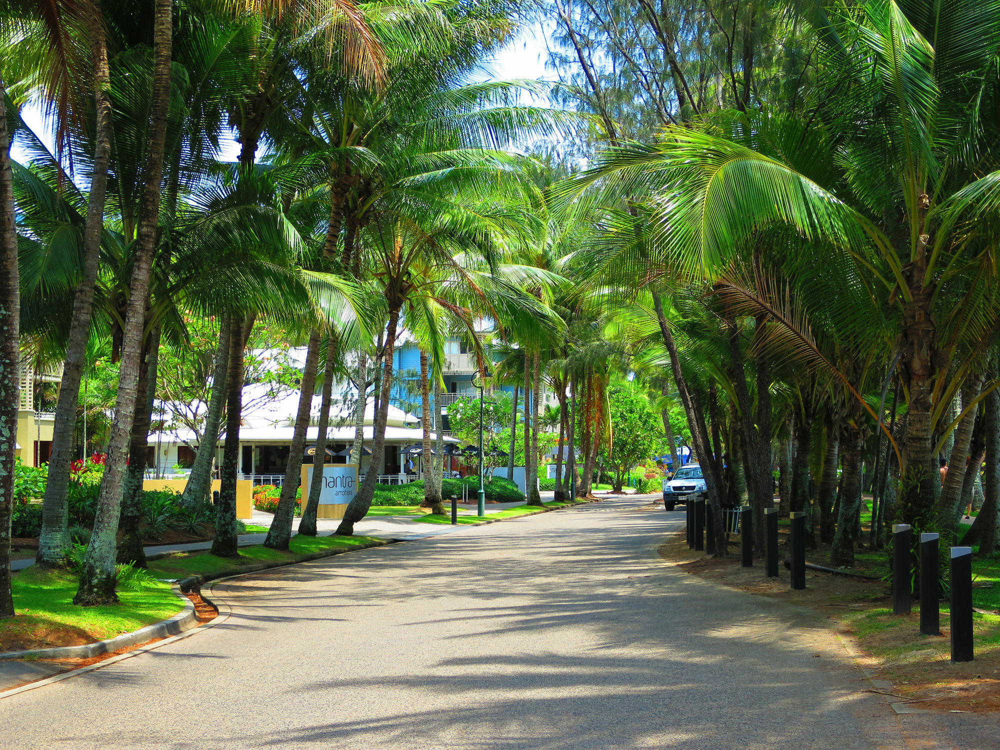 פאלם קוב Marlin Waters Beachfront Apartments מראה חיצוני תמונה